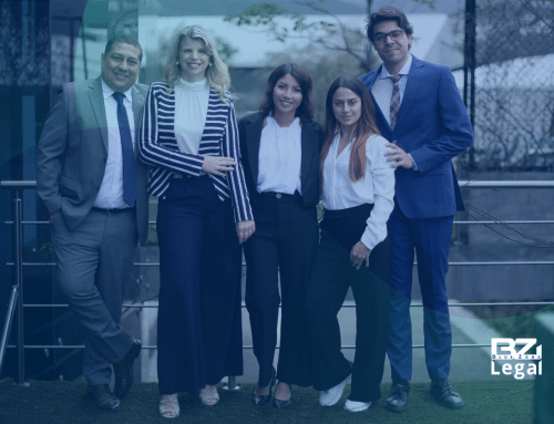 CHEERS TO A YEAR OF PARTNERSHIP AND PROGRESS – HAPPY HOLIDAYS FROM BLUE ZONE LEGAL!